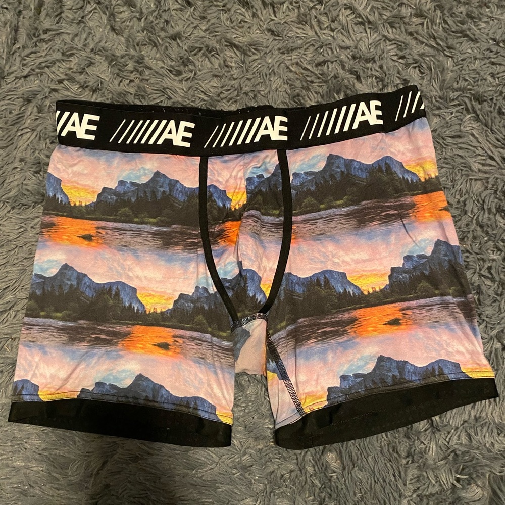 American Eagle Briefs